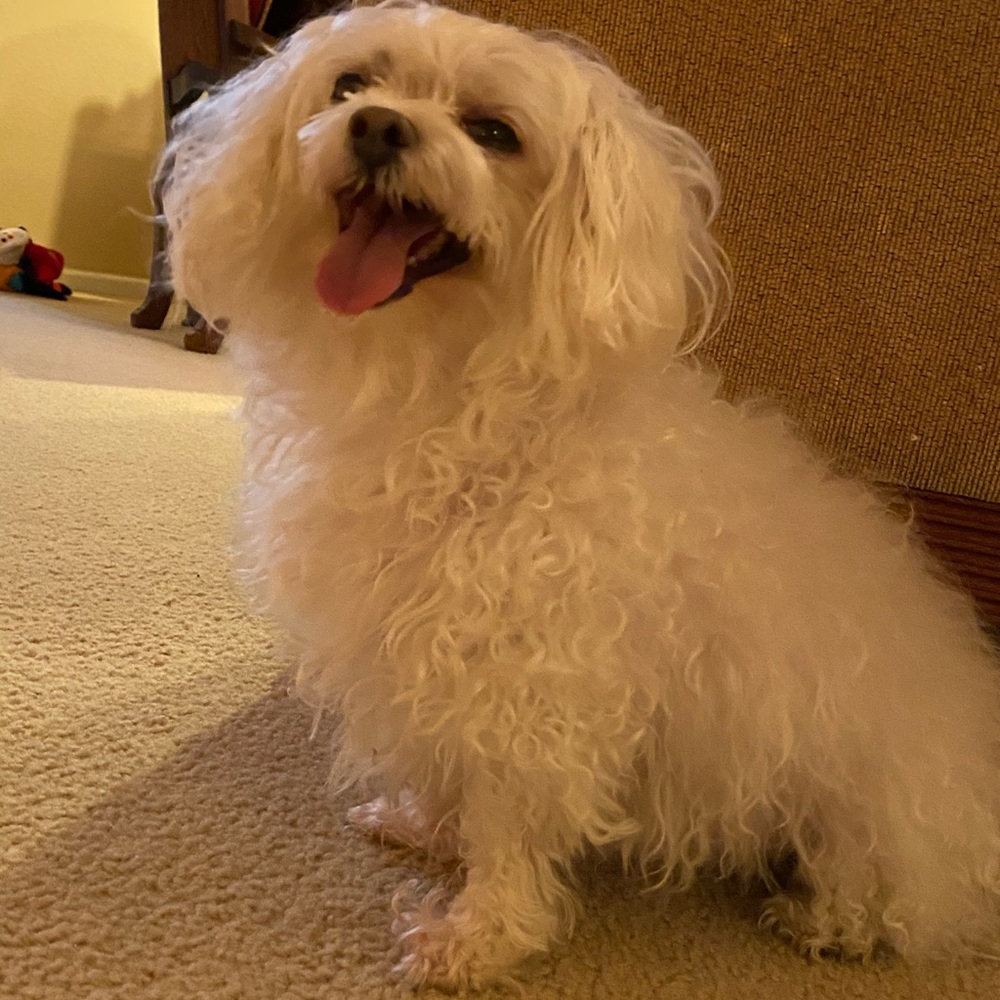 Meet your Posher, Adriana